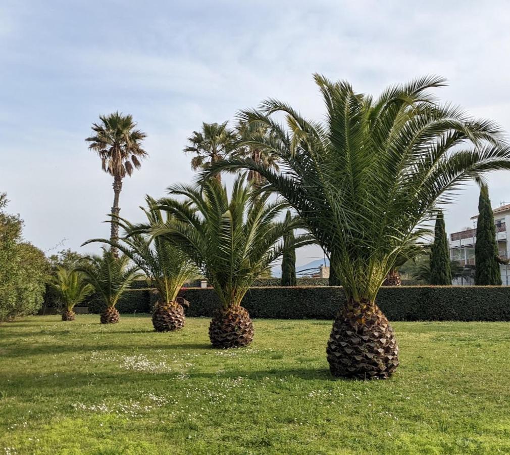 T3bis Résidence Presqu'île de la Lagune Saint-Cyprien  Exterior foto